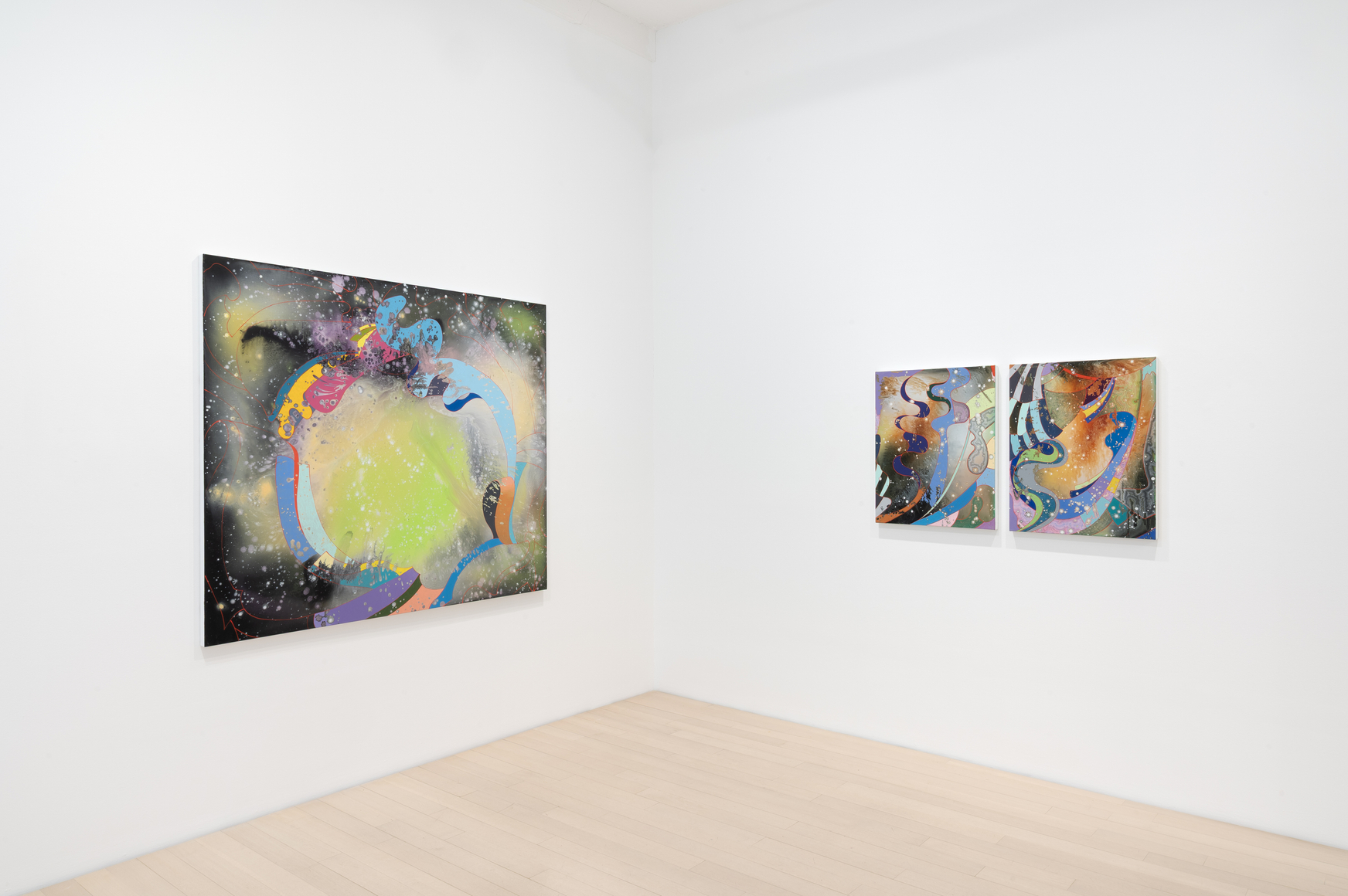 Barbara Takenaga: Parallax