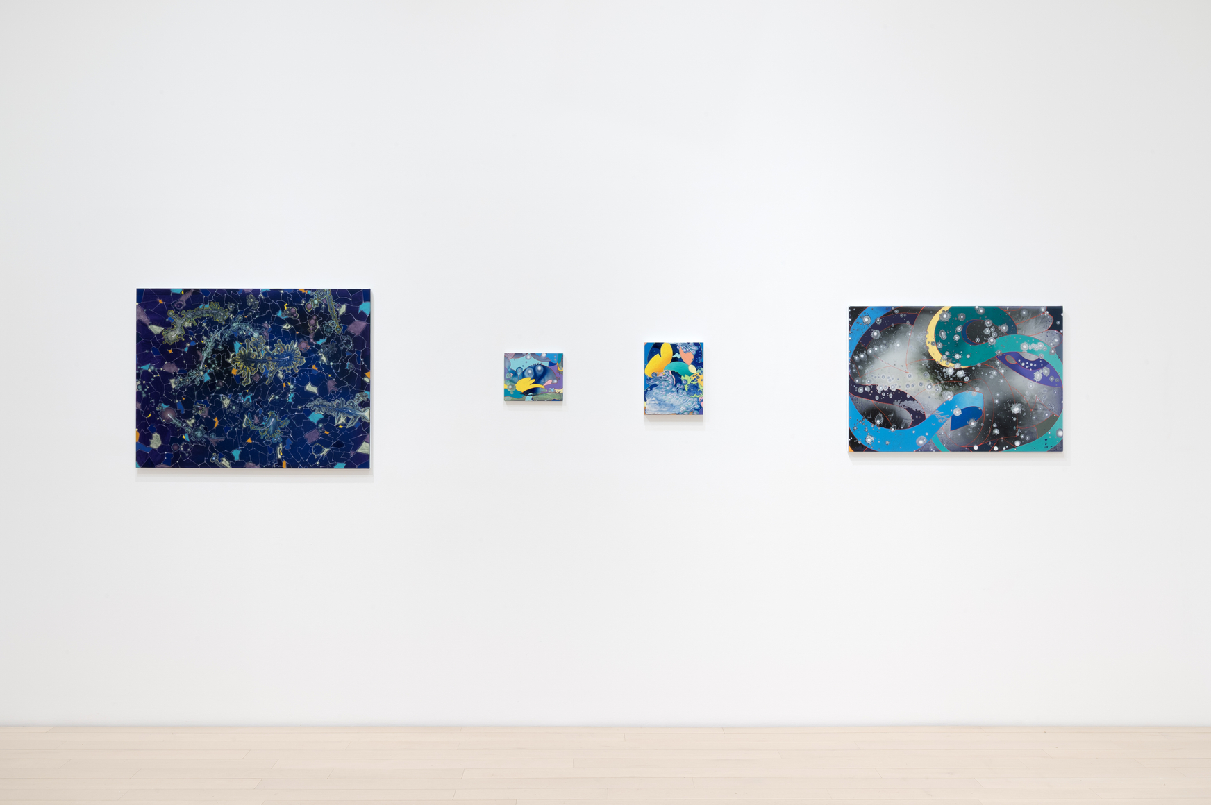 Barbara Takenaga: Parallax