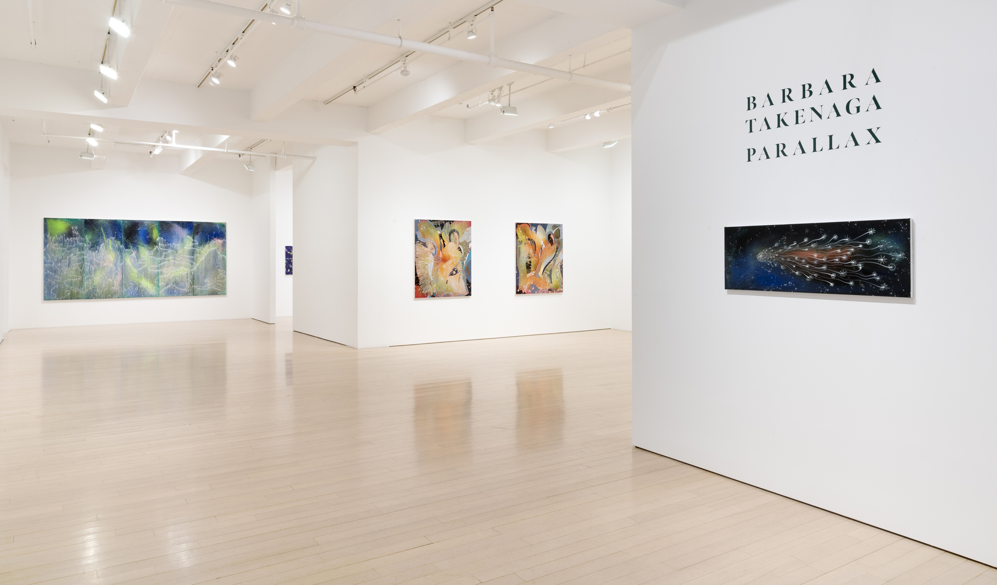 Barbara Takenaga: Parallax