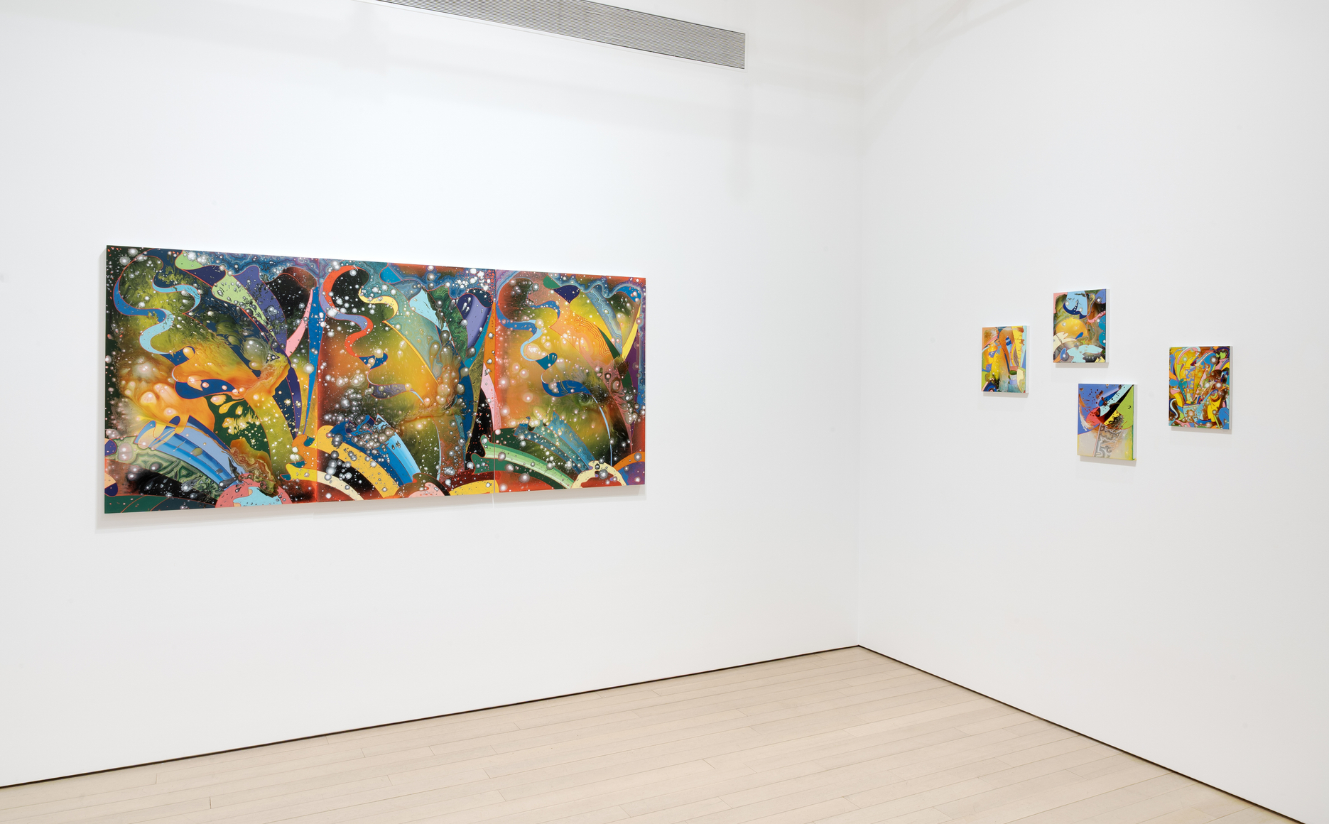 Barbara Takenaga: Parallax