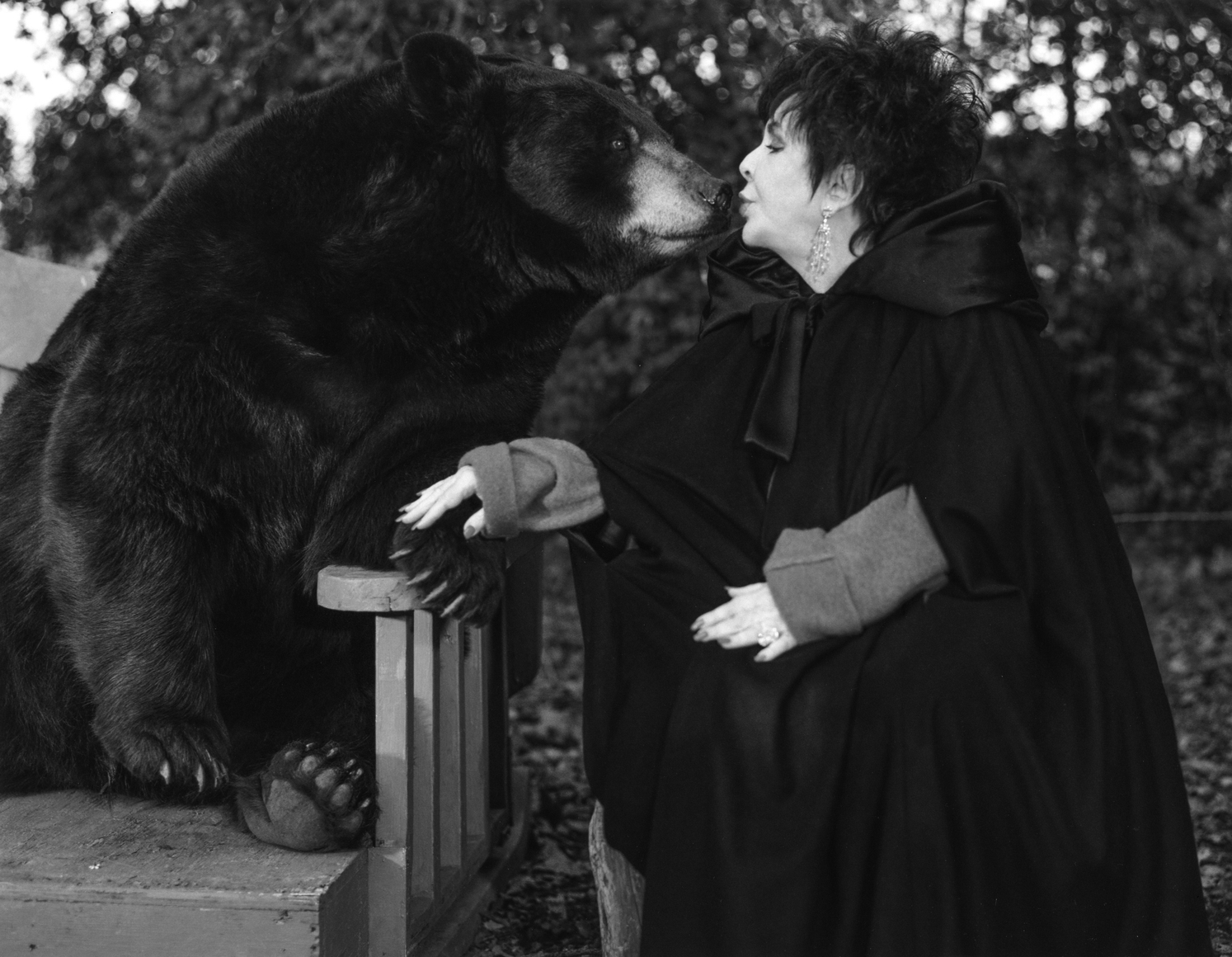 Bonkers and Elizabeth Taylor, Thousand Oaks, California, 2005, Silver Gelatin Photograph, Ed. of 10
