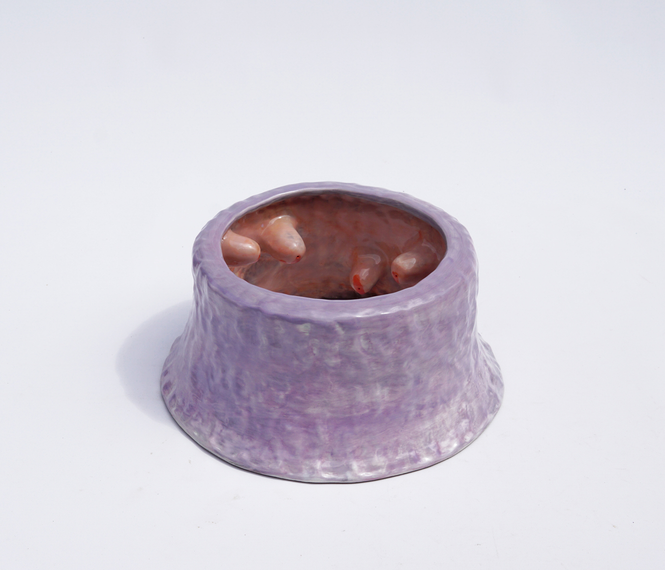 pinkish ring with a red interior, small finger like protrusions are along the interior of the ring