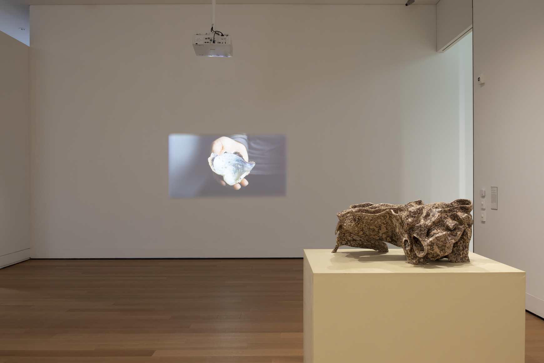 Jes Fan,&nbsp;Unbounded February 27 &ndash; June 28, 2026, Yale University Art Gallery, New Haven, Connecticut