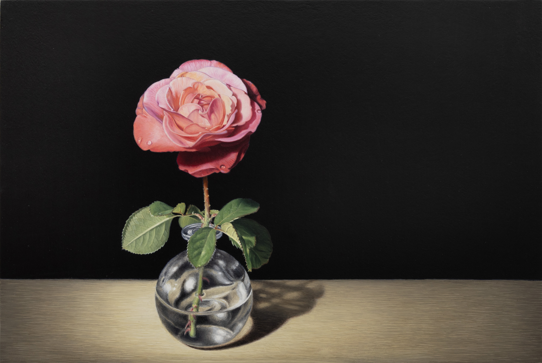 SUSAN McDONNELL , Rose, 2026