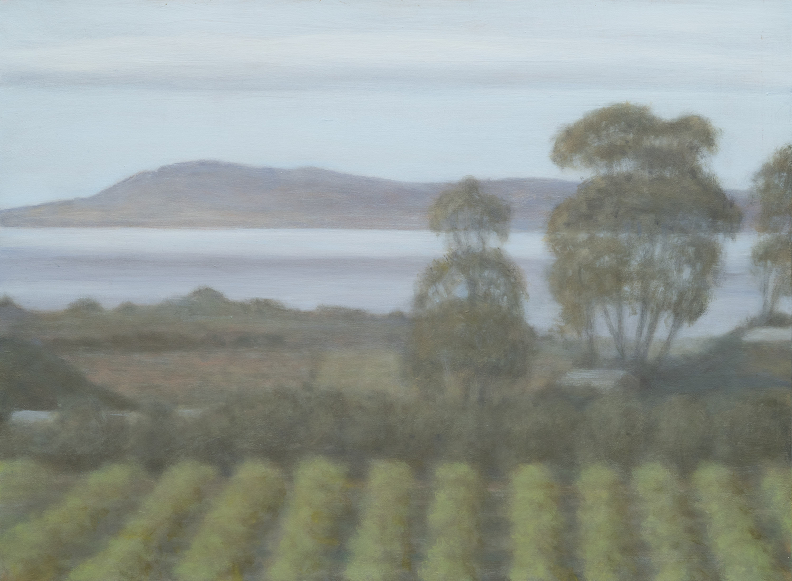 SARAH VEDDER , From the Mesa to the Bluffs, 2020