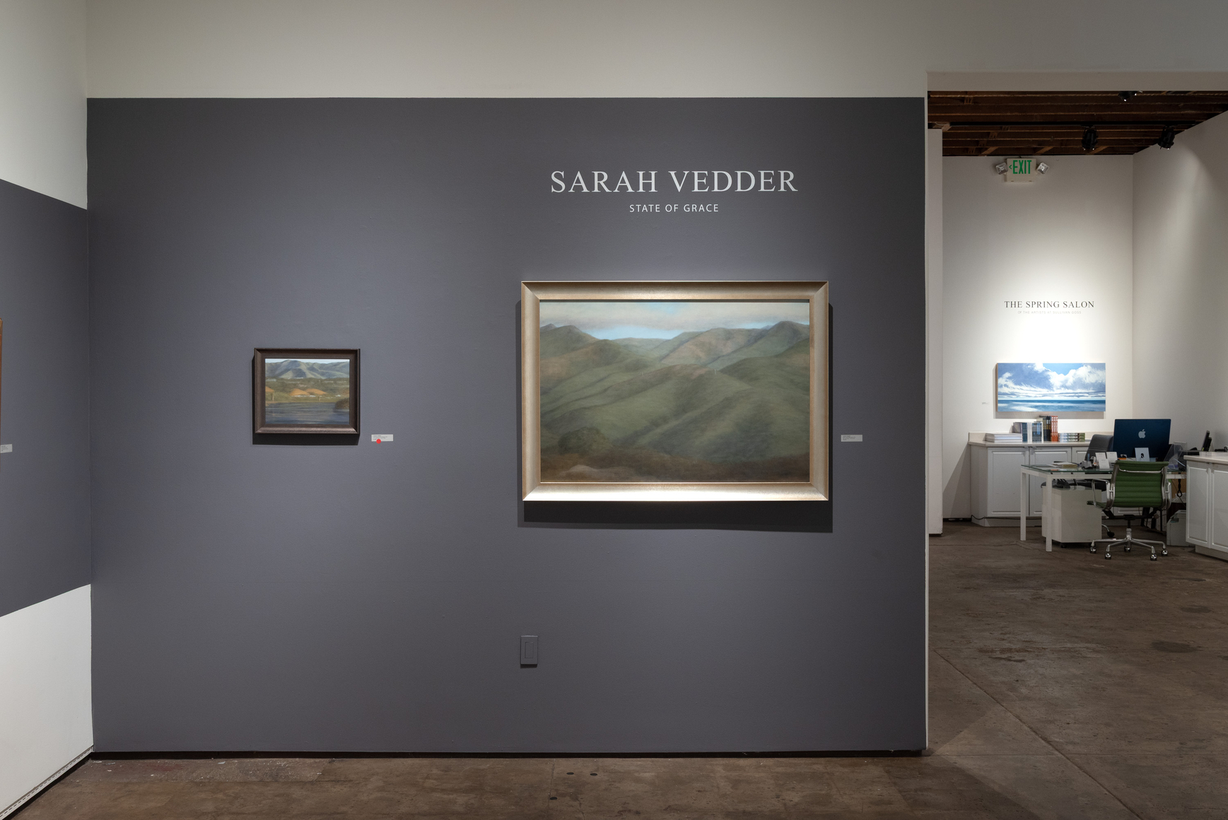 Installation photograph of SARAH VEDDER: State of Grace