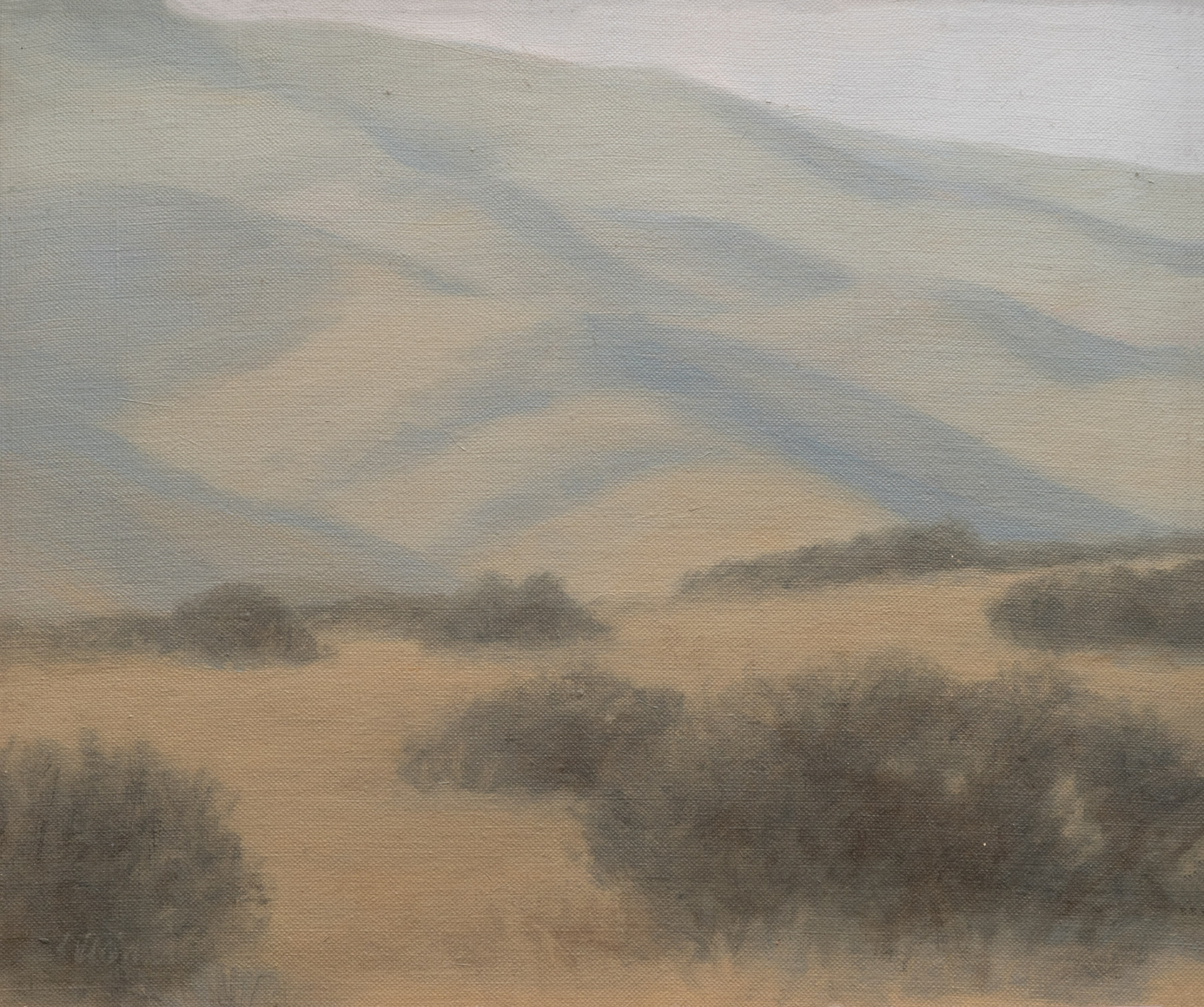 SARAH VEDDER , In the Foothills, Caliente Range, 1998