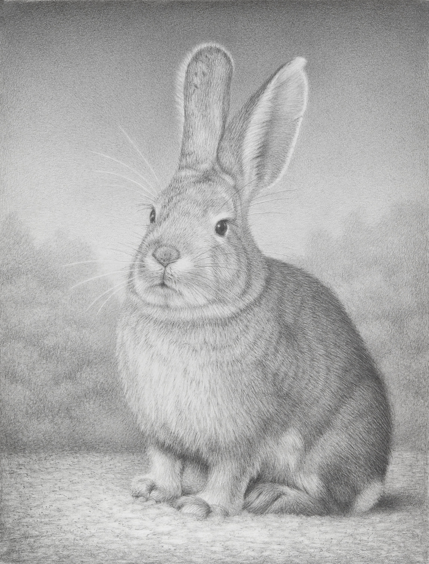 SUSAN MCDONNELL , Wise Beyond Measure, 2025