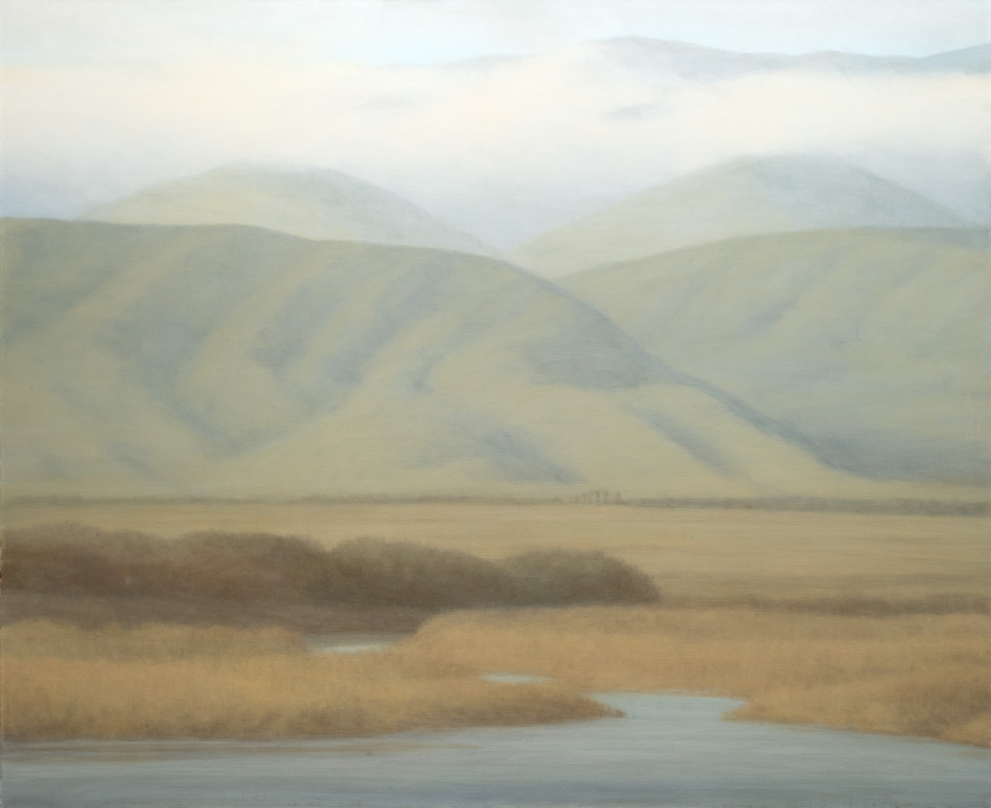SARAH VEDDER, Spring In Carpinteria Marsh, 2002.