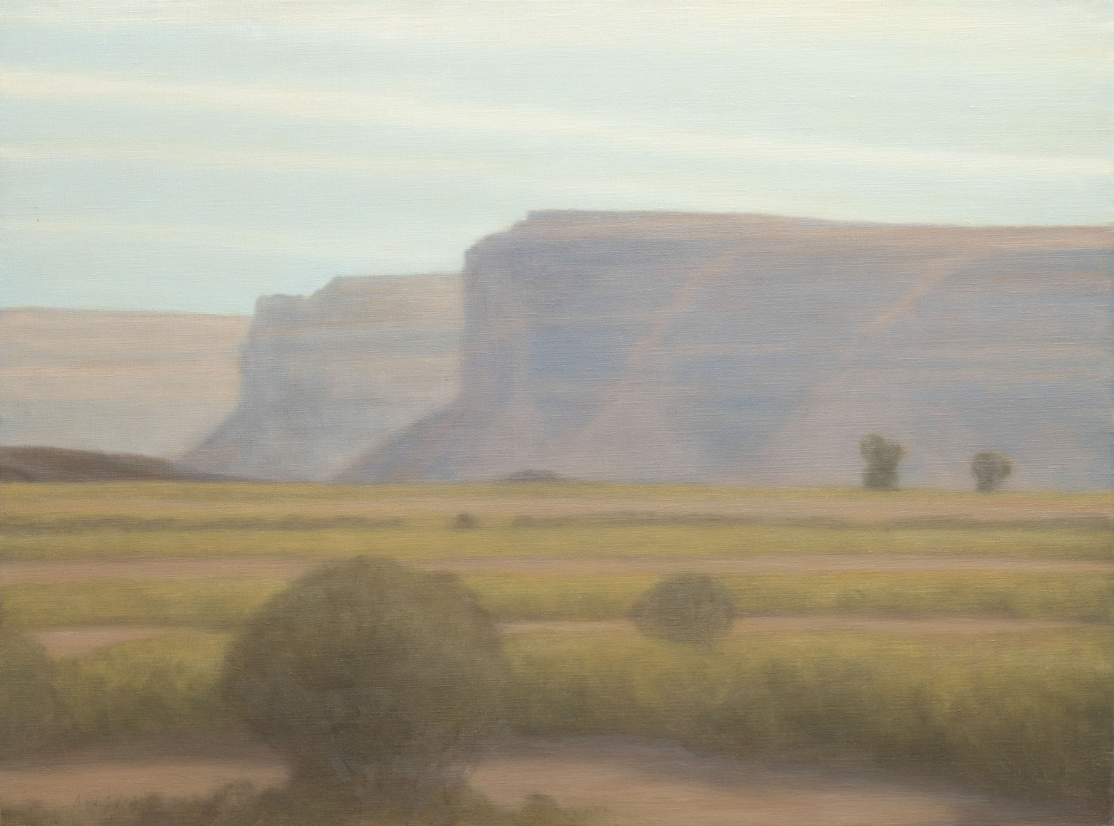 SARAH VEDDER , Cedar Mesa, 2000