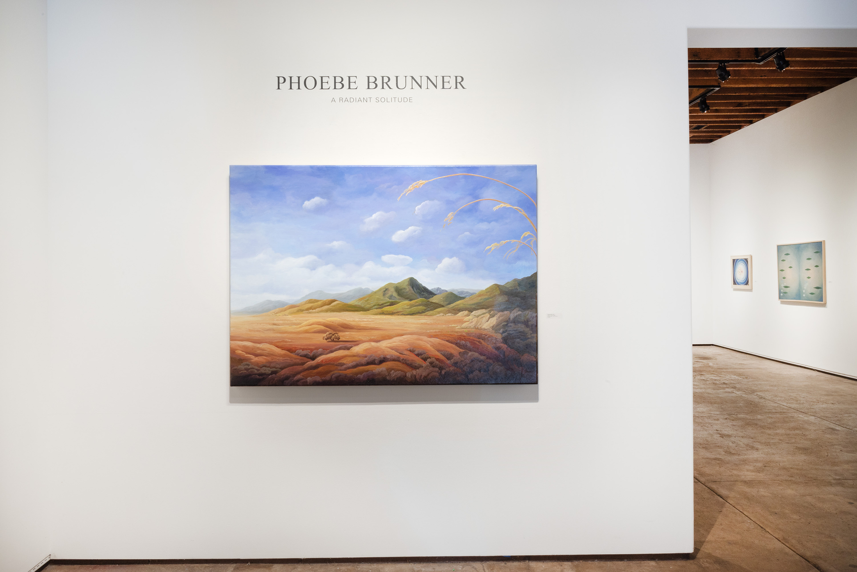 PHOEBE BRUNNER, A Radiant Solitude Installation photo 2026