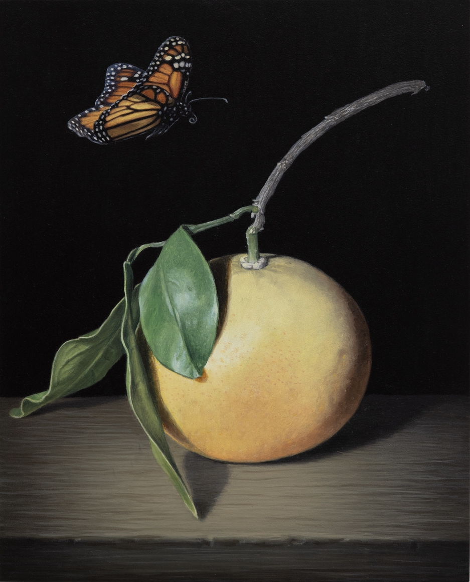 SUSAN McDONNELL , Grapefruit and Monarch, 2026