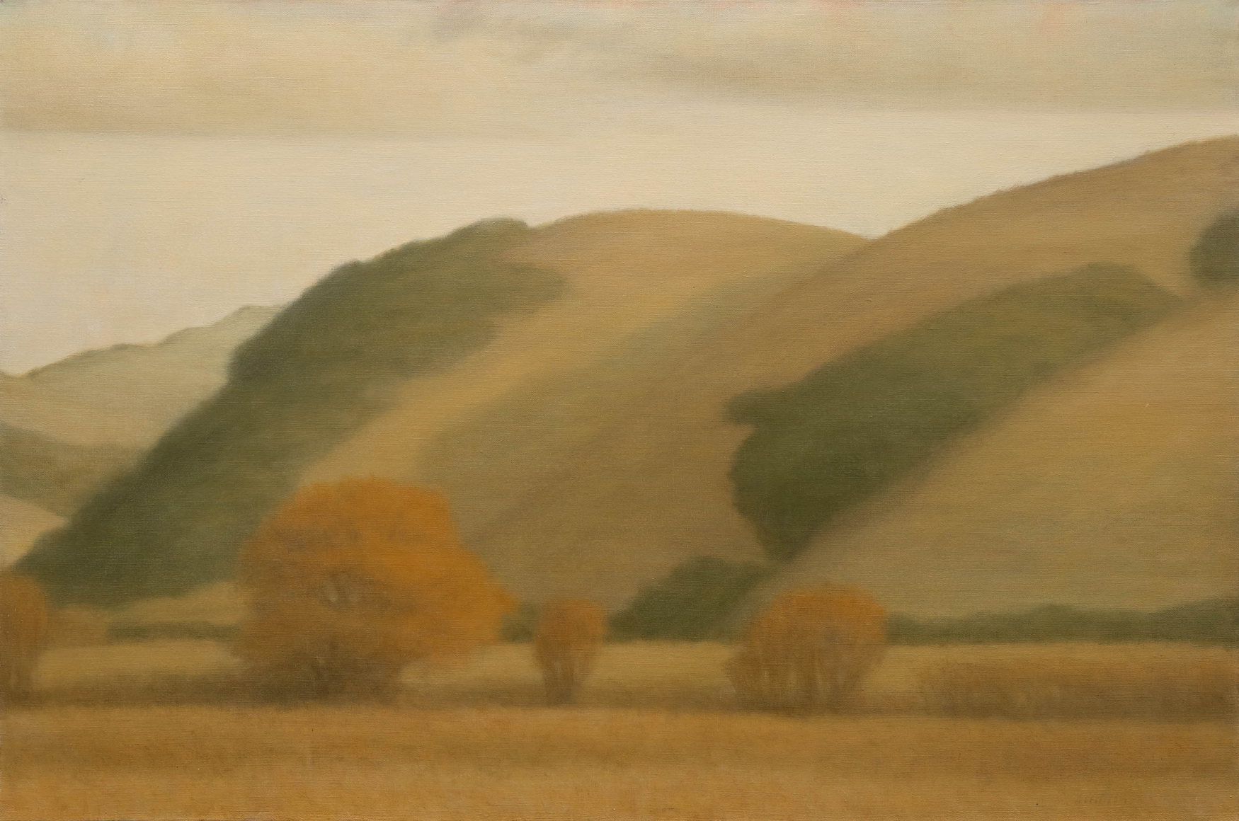 SARAH VEDDER , Chileno Valley, 2003.