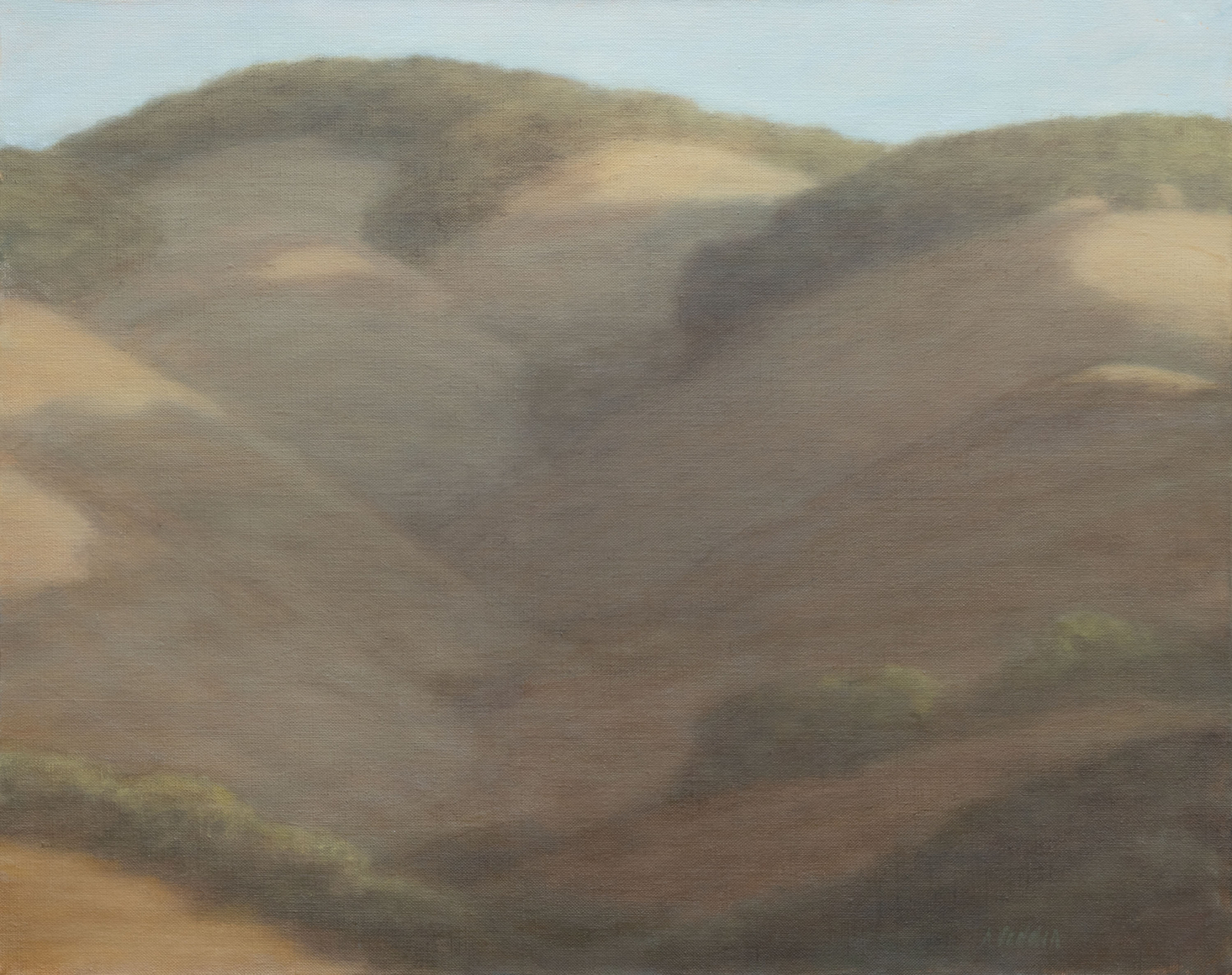 SARAH VEDDER , Hills and Shadows, 2012