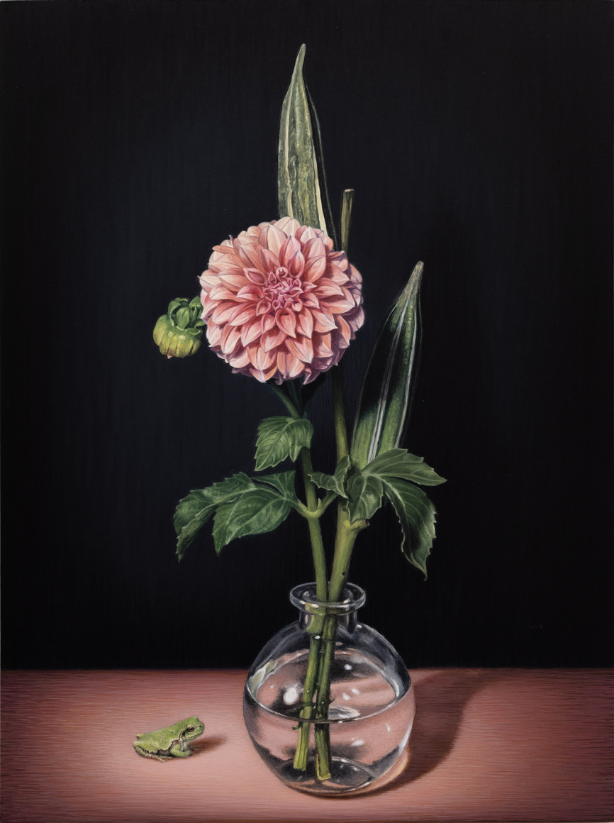 SUSAN McDONNELL , Under the Dahlia, 2026