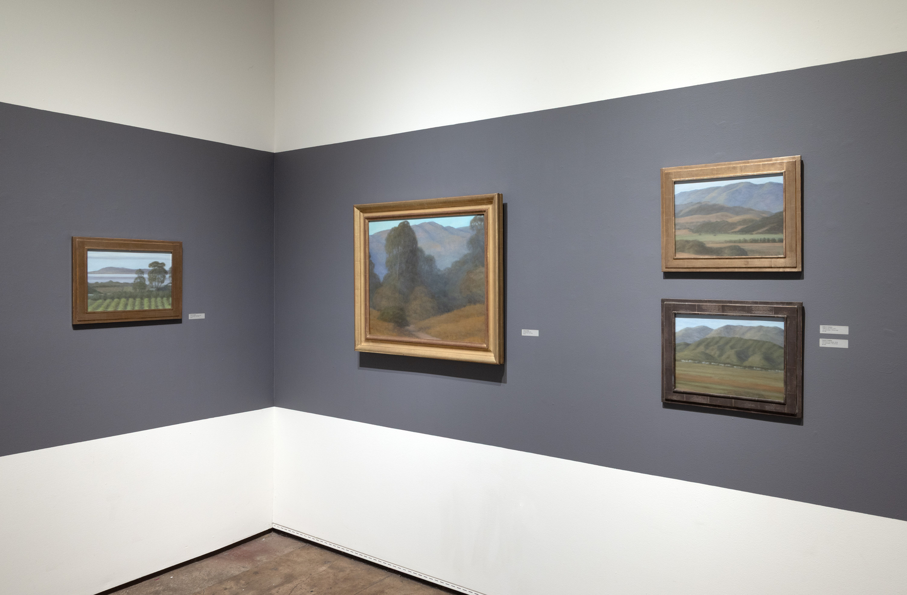 Installation photograph of SARAH VEDDER: State of Grace