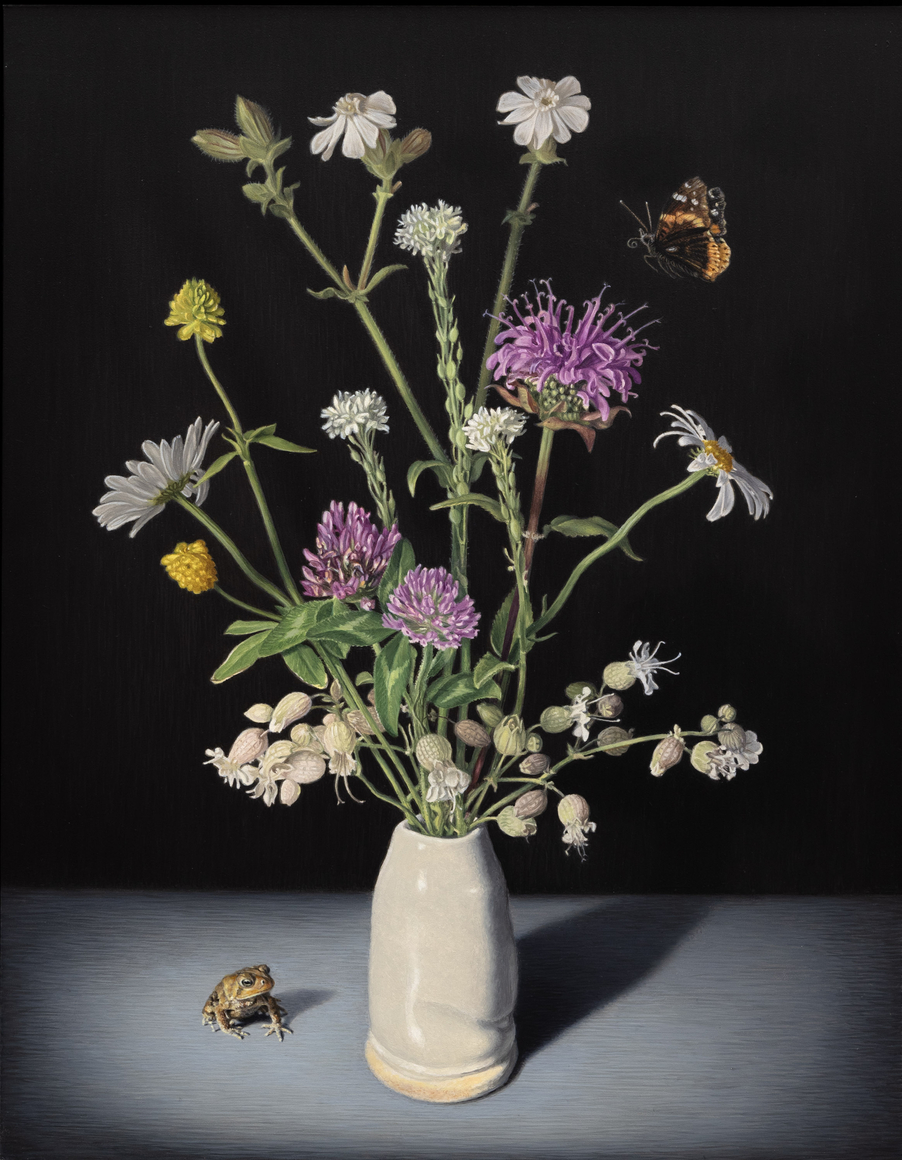 SUSAN McDONNELL , Wild, 2026