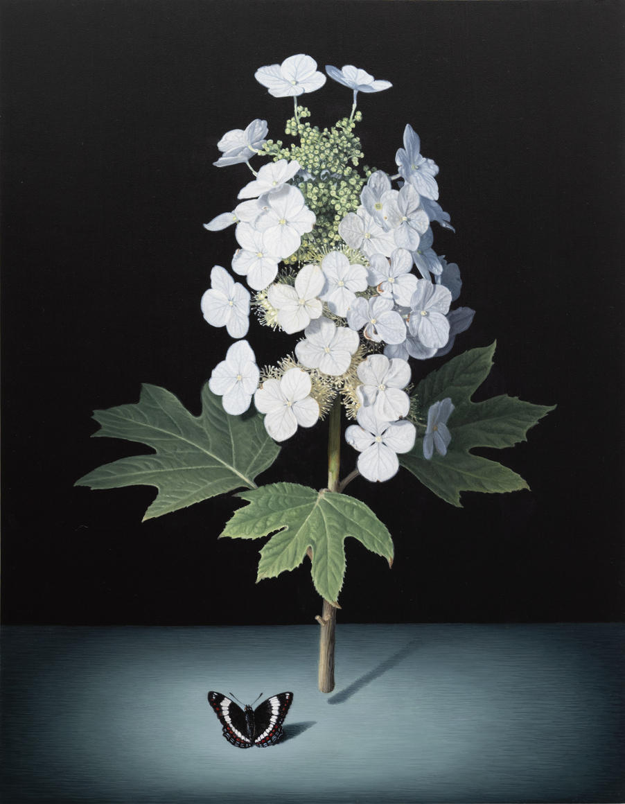 SUSAN McDONNELL , Magician, 2026