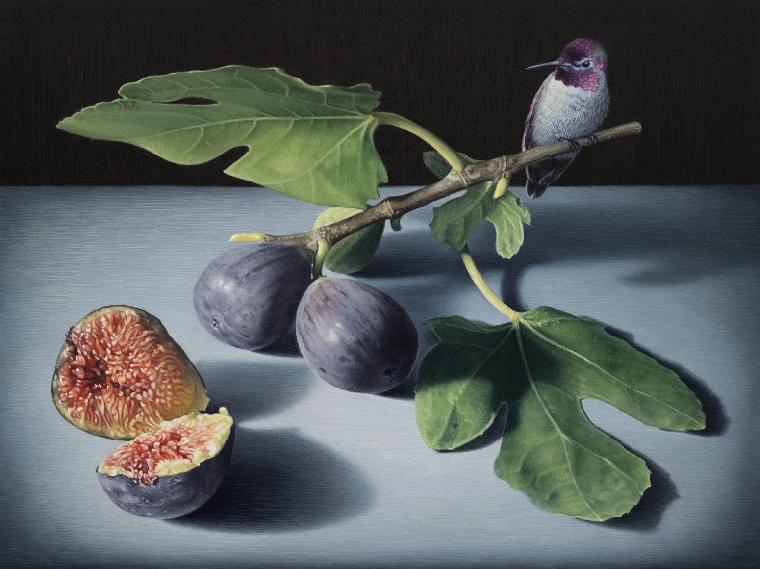 SUSAN McDONNELL , Figs, 2026