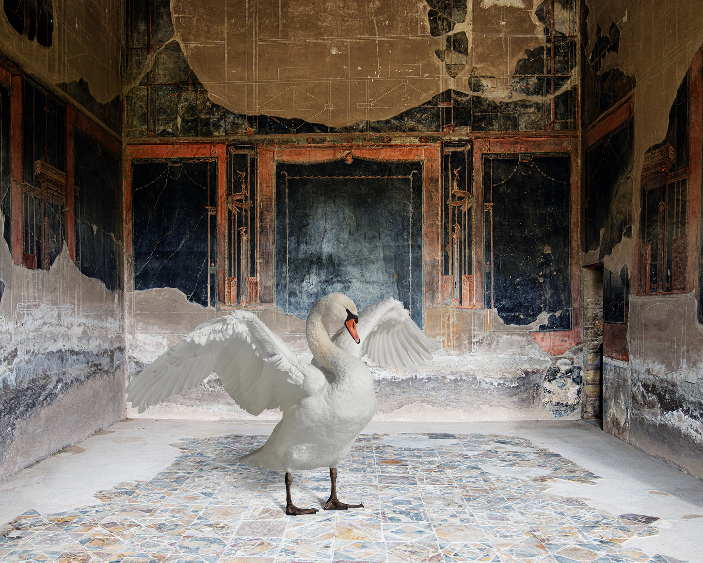 Karen Knorr, Zeus Disguised, House of the Stags, Herculaneum, 2023