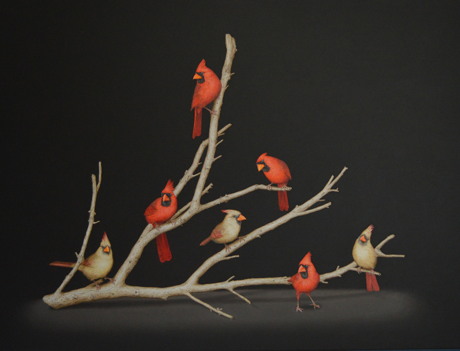 Cris-Worley-Fine-Arts-Gallery-Dallas-Texas-Art-Fair-Isabelle-du-Toit