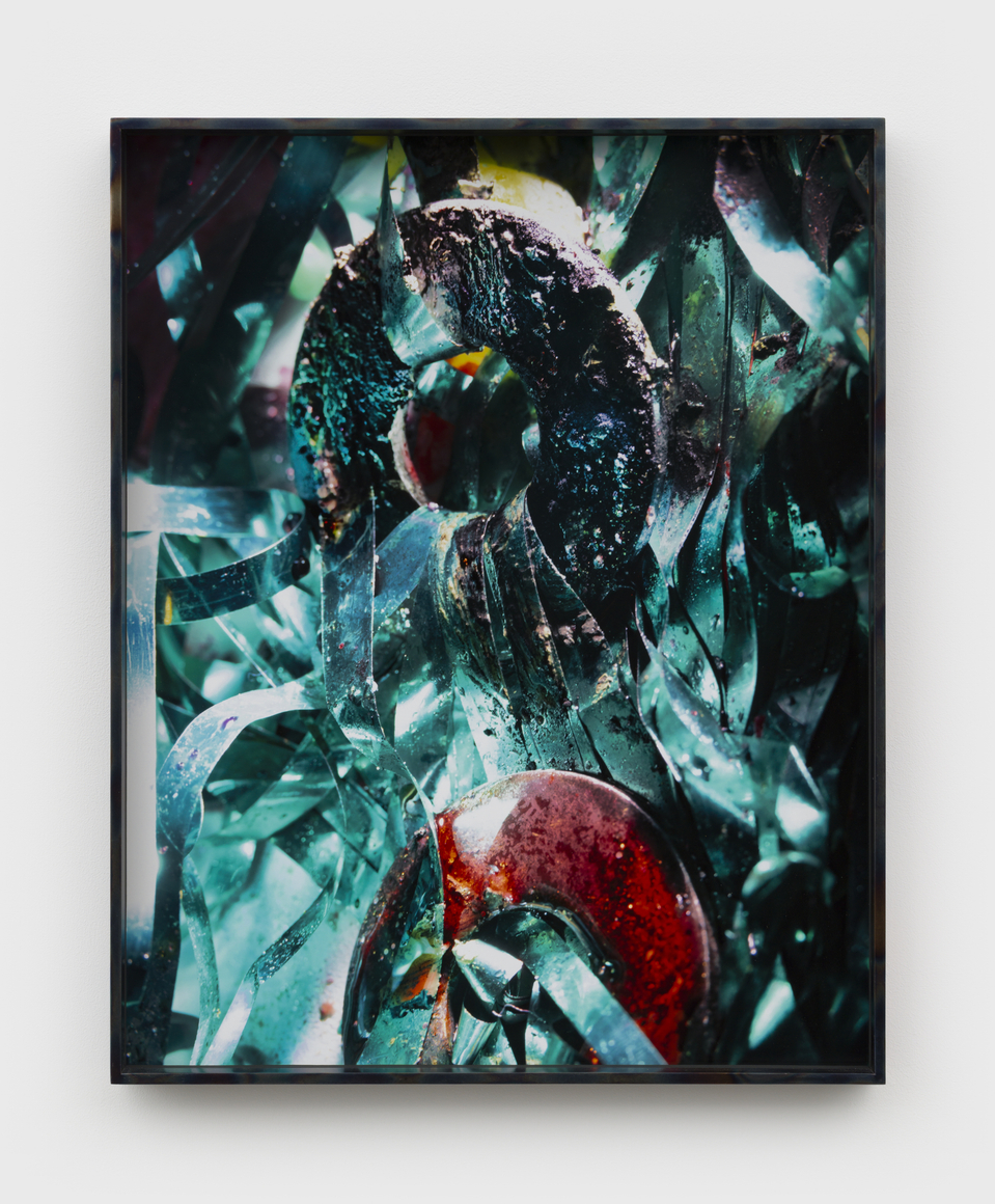 Diane Severin Nguyen