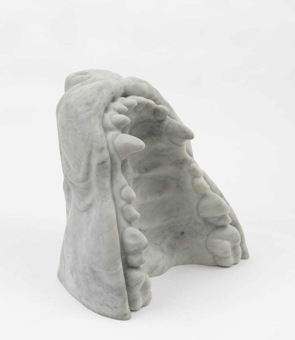 Fin Simonetti, Jaw 2, 2024