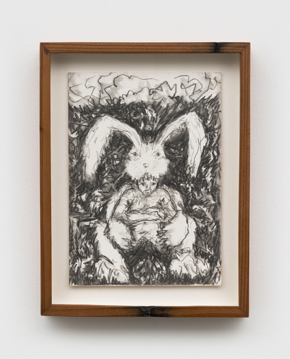 DD Herschlein, My Collusion, 2025