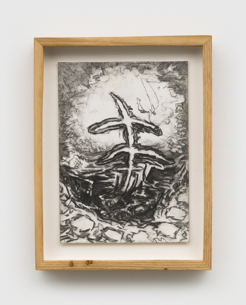 DD Herschlein, Dangerous Angles, 2026