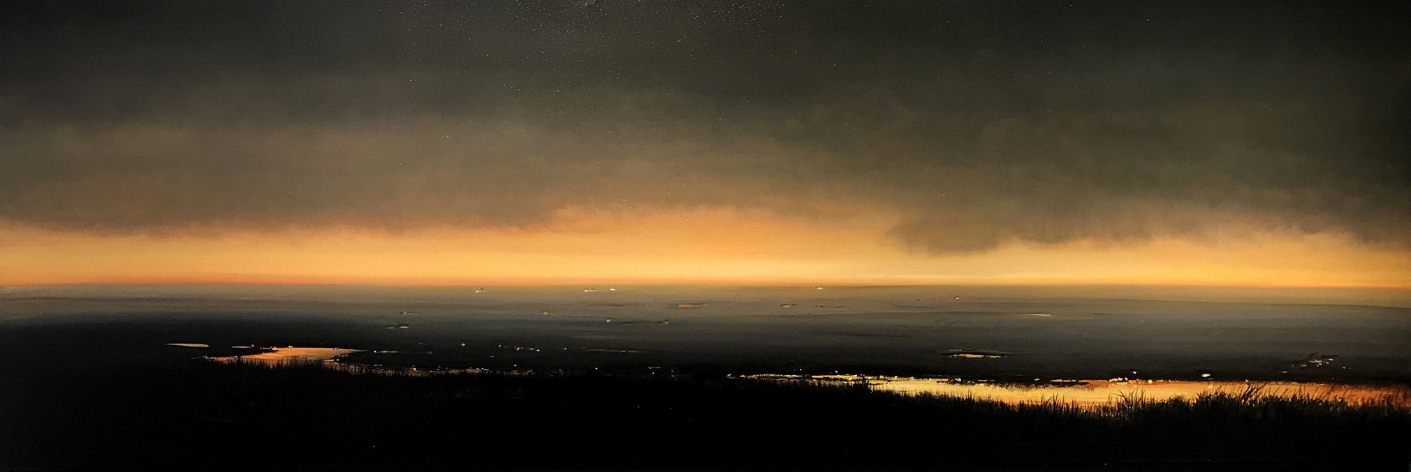 Disguising Nature (SOLD), 2018, oil on canvas, 28 x 84 inches