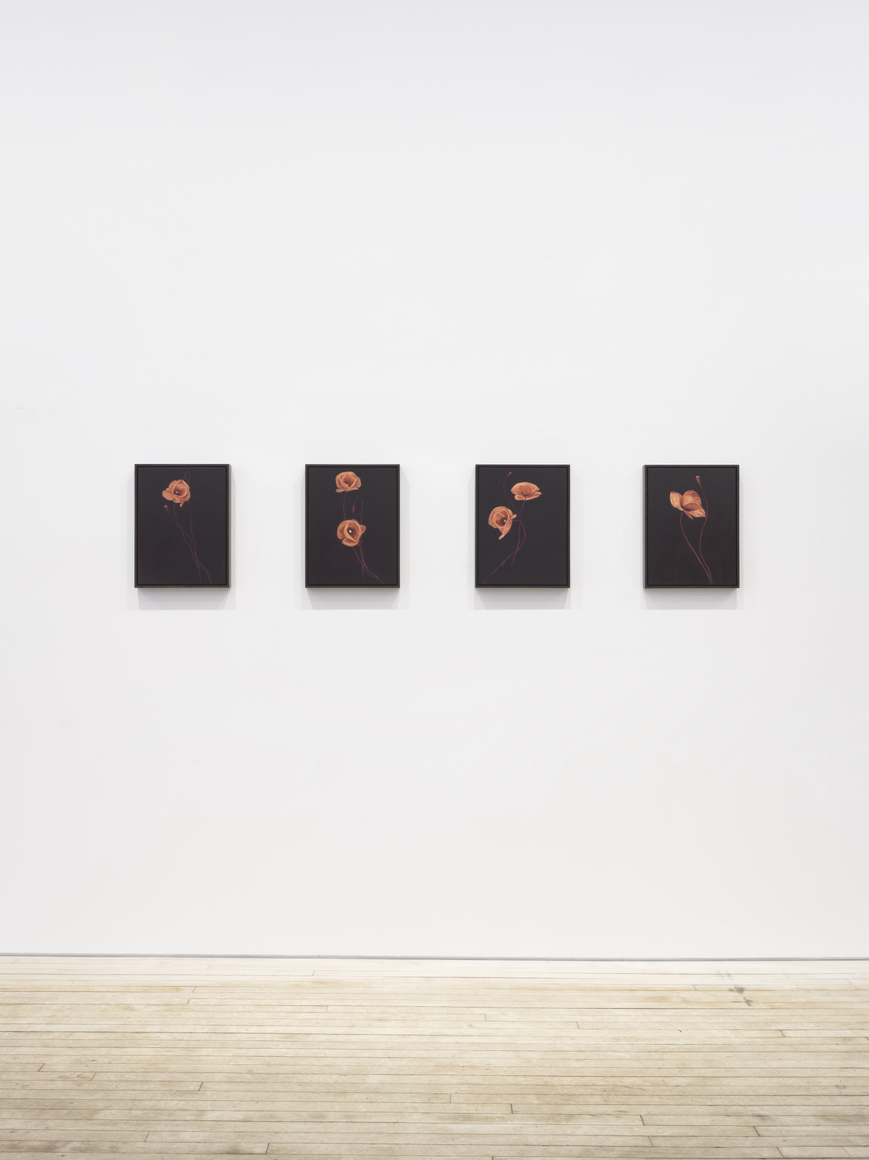 Installation view of Alexandria Tarver, Dedicated to the low in heart, Nino Mier Gallery, TriBeCa, February 20 &ndash; March 28, 2026