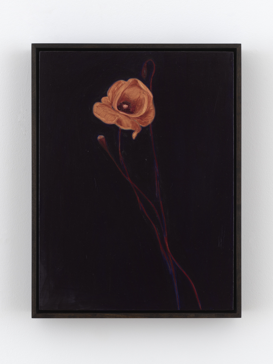 Alexandria Tarver nights, Rome 5, 2026 Signed, titled, dated on verso Oil on panel 17 x 13 in (framed) 43.2 x 33 cm (framed) (ATA26.022)