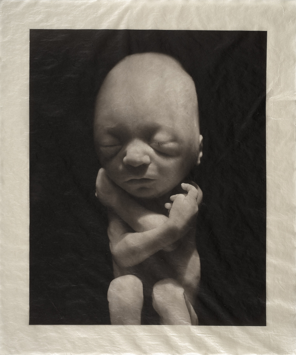 ELIZABETH HEYERT, THE UNBORN #9