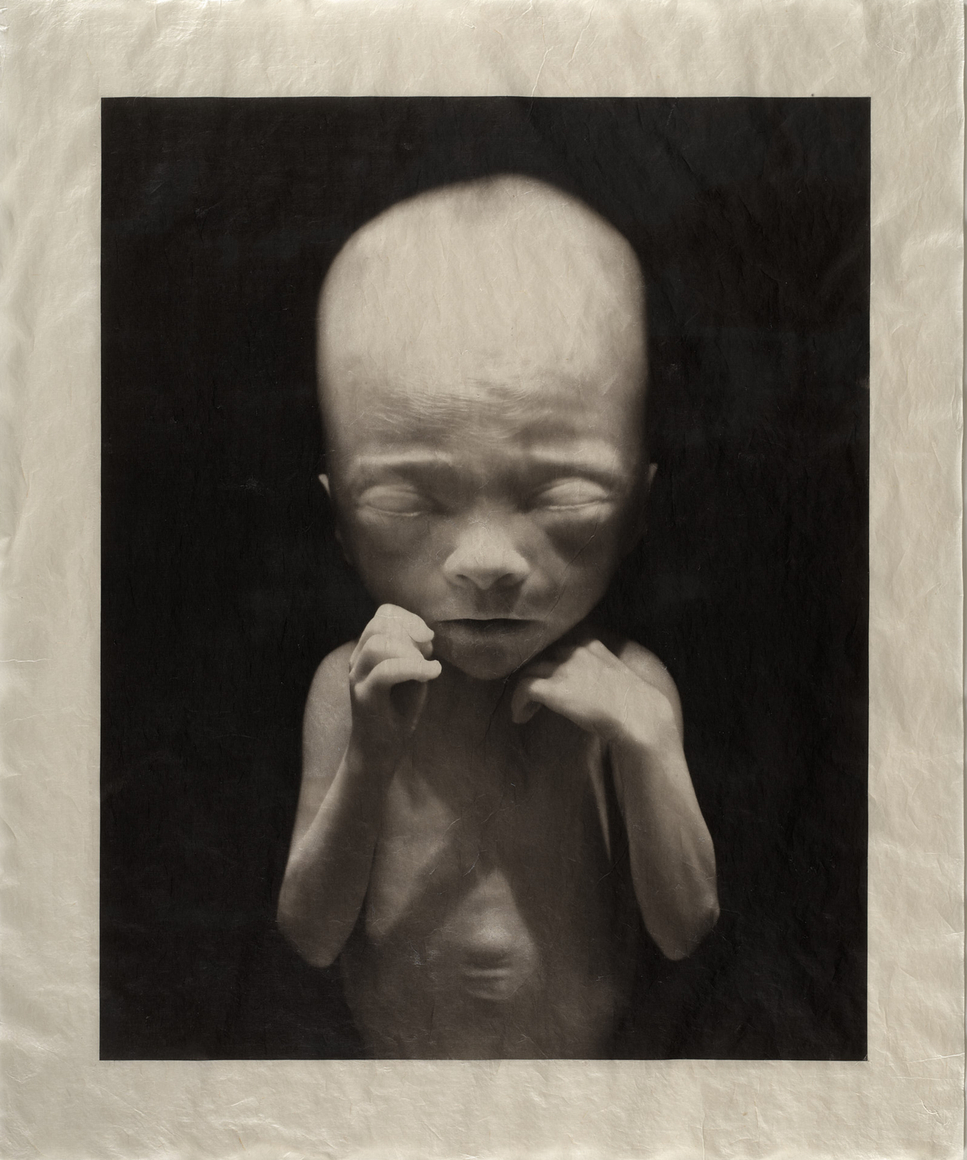 ELIZABETH HEYERT, THE UNBORN #1