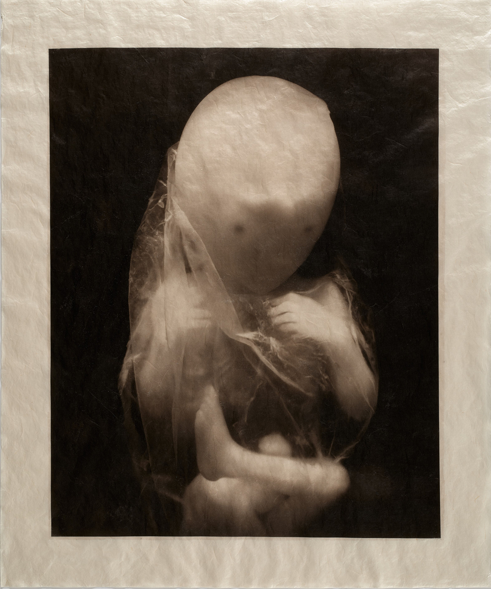 ELIZABETH HEYERT, THE UNBORN #7