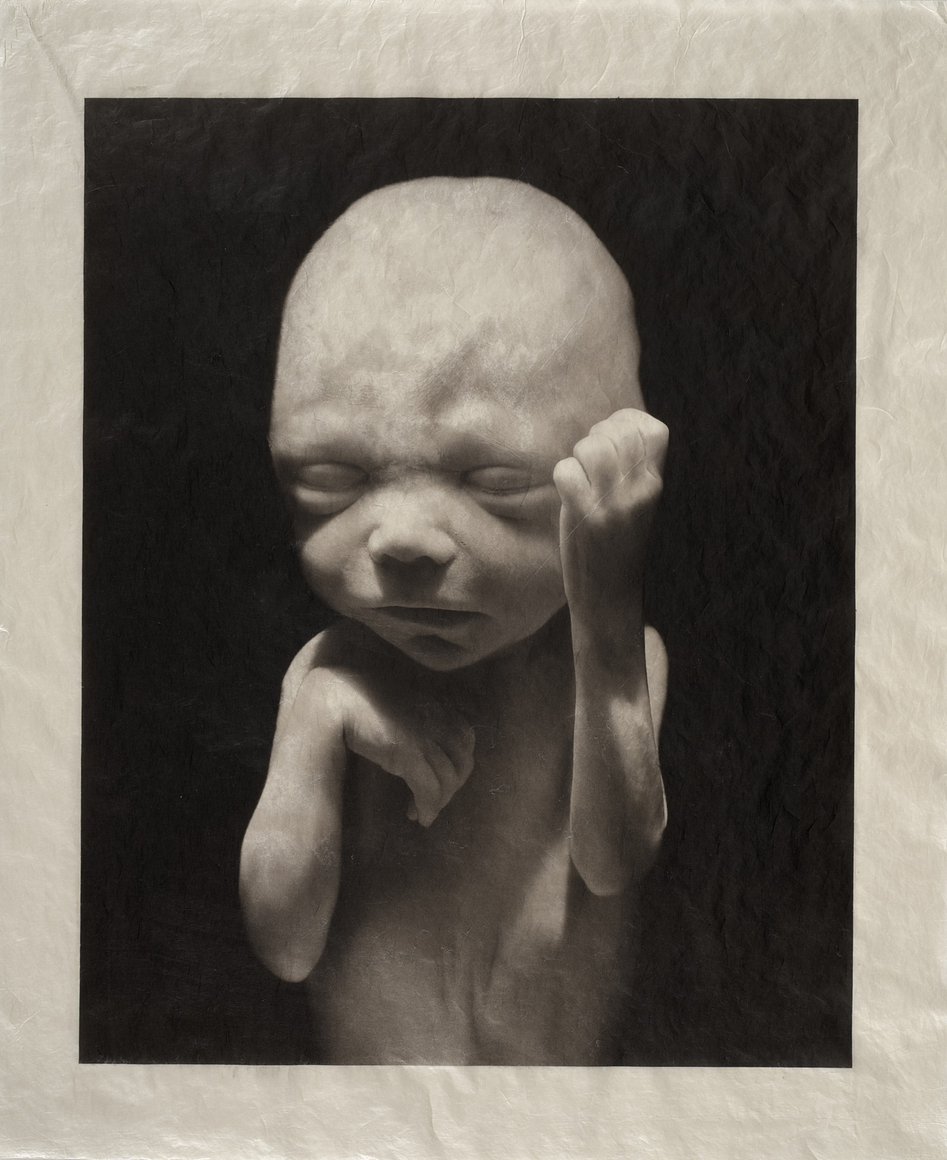 ELIZABETH HEYERT, THE UNBORN #4