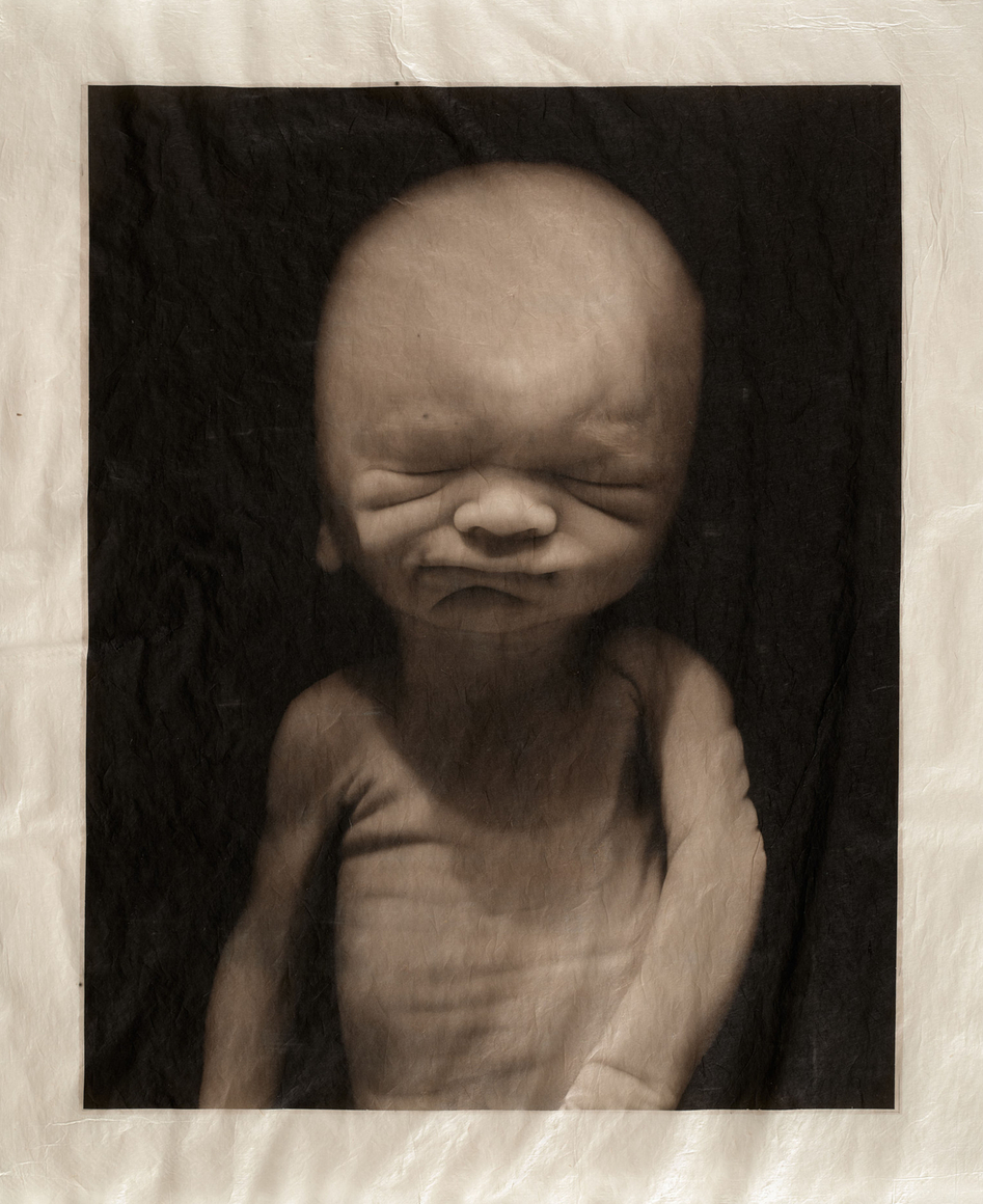 ELIZABETH HEYERT, THE UNBORN #5