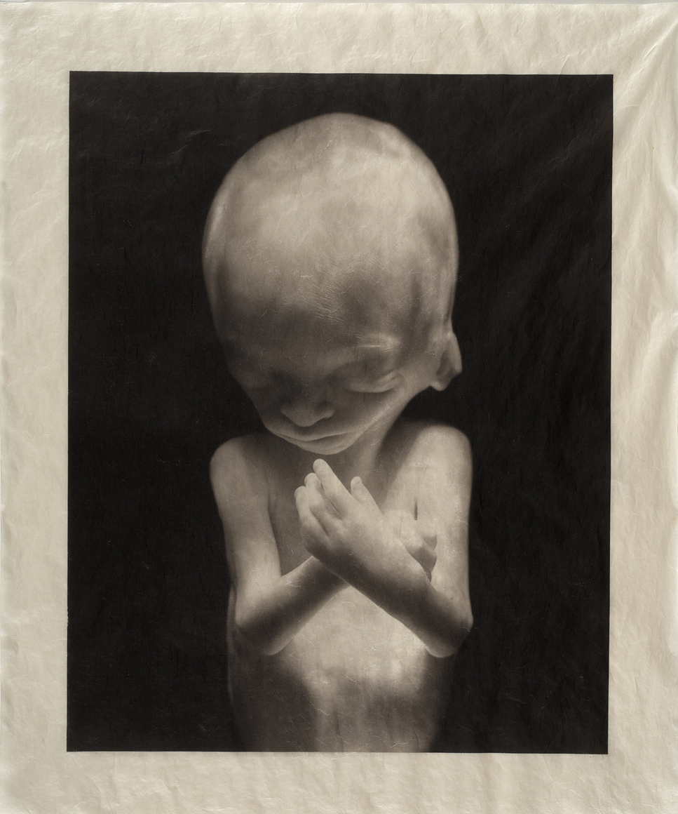 ELIZABETH HEYERT, THE UNBORN #3