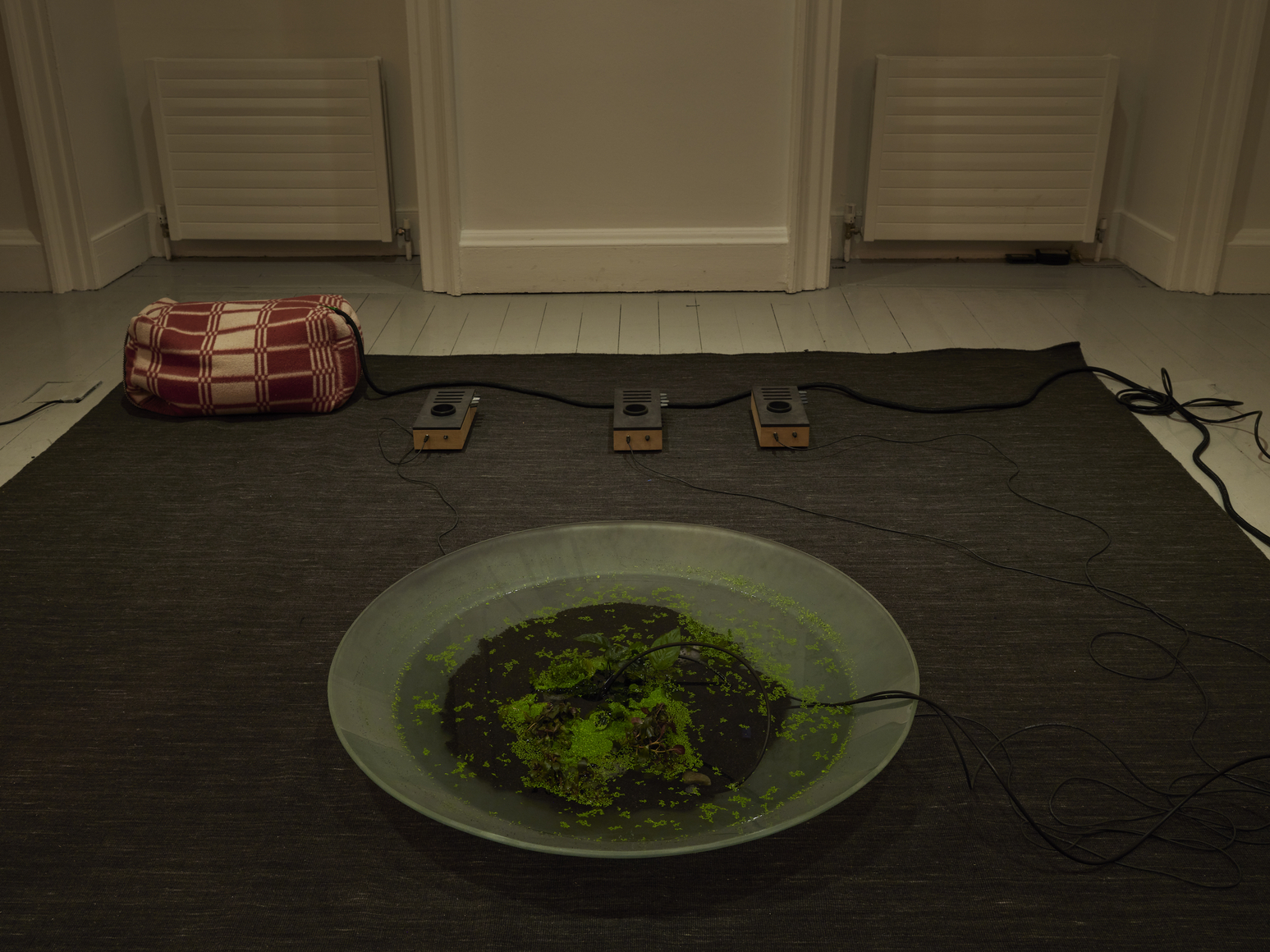 vista de instalaci&oacute;n de tarek atoui: souffle continu, sunflowers, irish museum of modern art (imma), dubl&iacute;n, 2026. foto: ros kavanagh, 