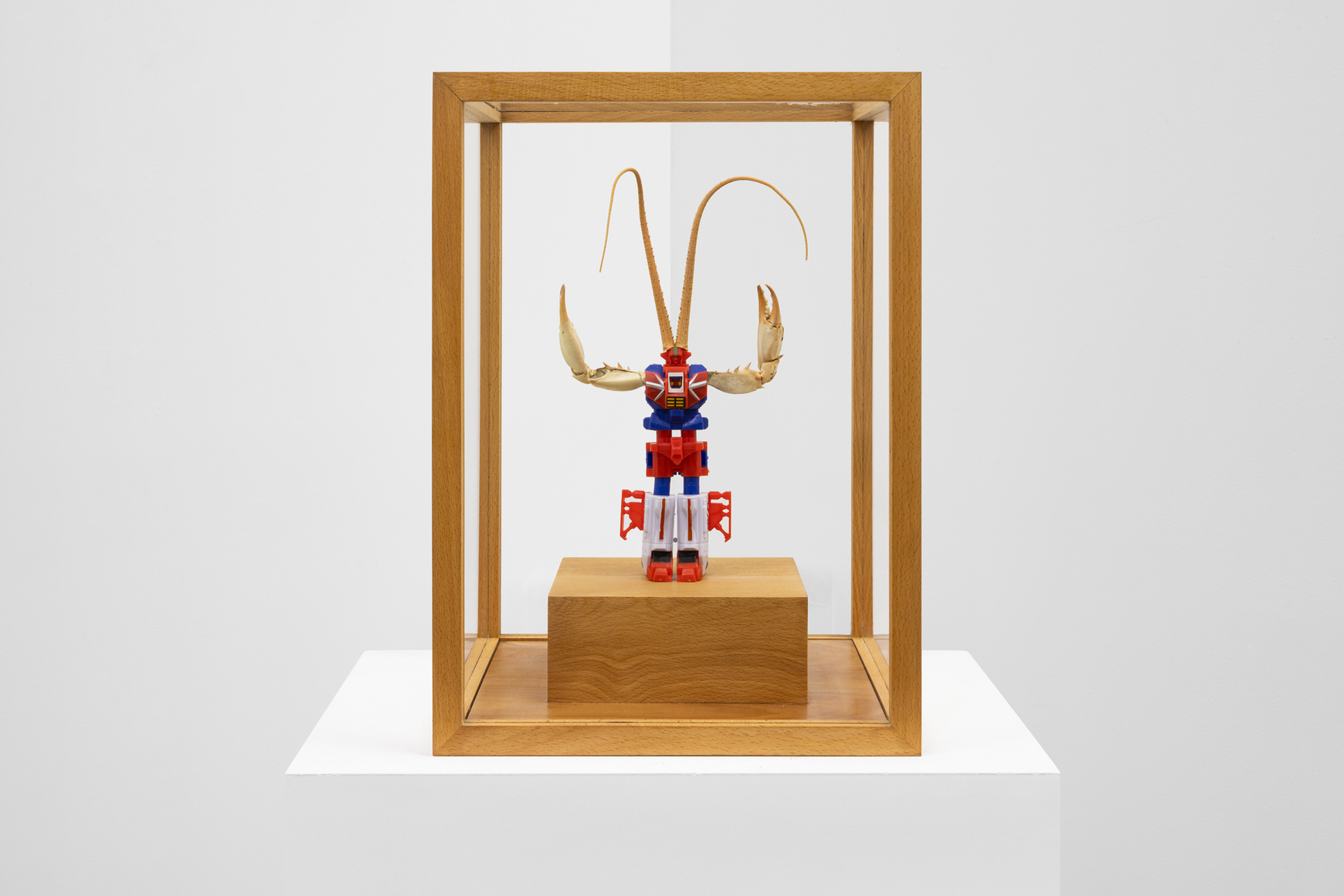 dami&aacute;n ortega transformer 6, 1999-2021