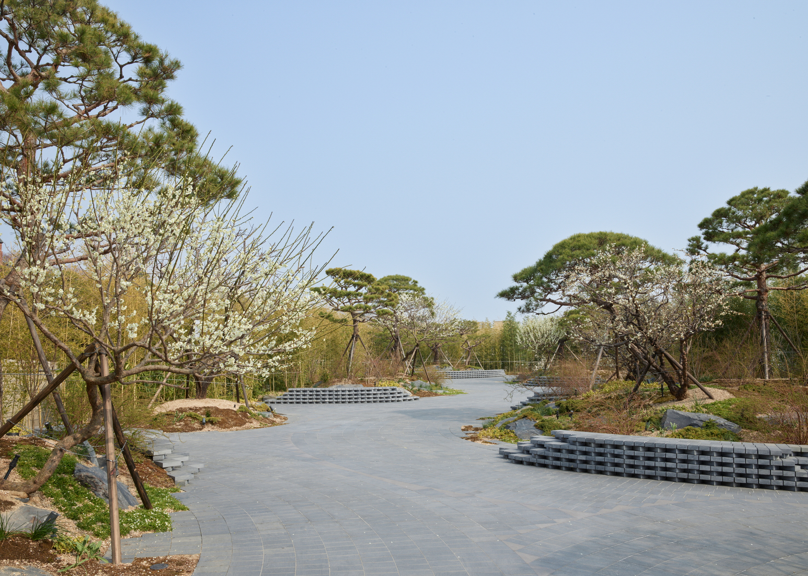 vista de instalaci&oacute;n de&nbsp;gabriel orozco garden,&nbsp;leeum museum of art, se&uacute;l,&nbsp;2025. cortes&iacute;a de leeum museum of art. foto: chung heeseung