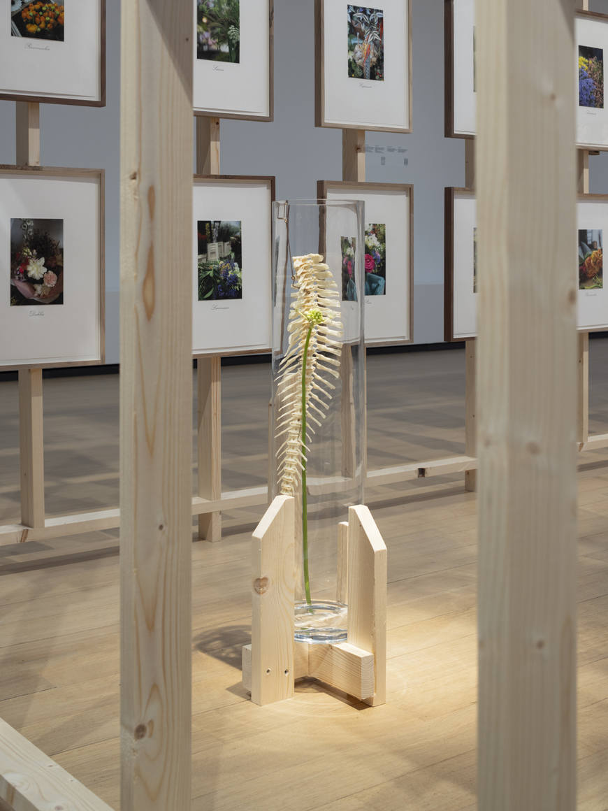 vista de instalaci&oacute;n&nbsp;danh vo, stedelijk museum amsterdam, 2026. foto: peter tijhuis