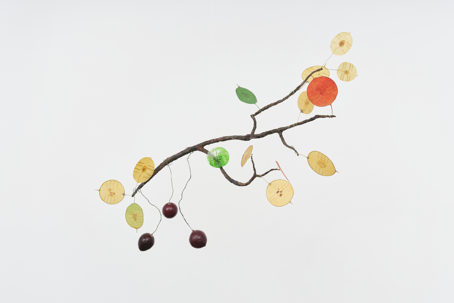 ming fay money tree branch, 1990s/2025