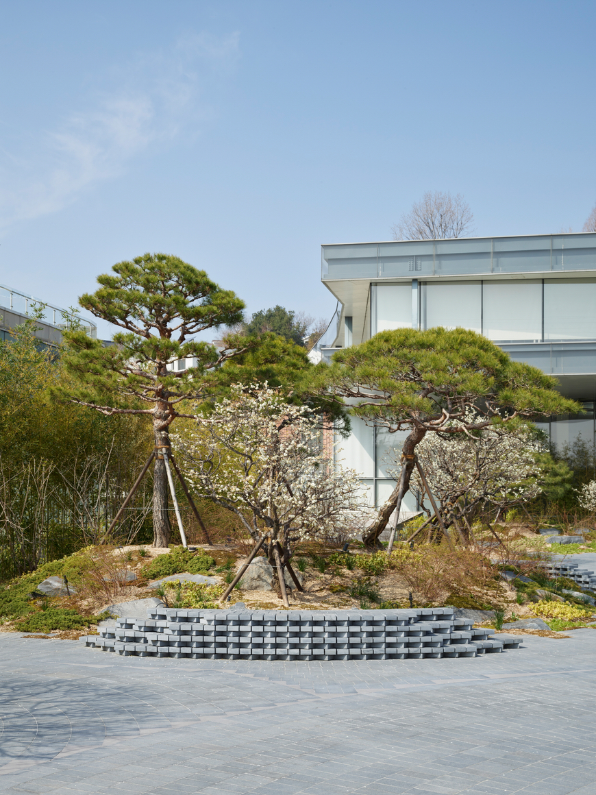 vista de instalaci&oacute;n de&nbsp;gabriel orozco garden,&nbsp;leeum museum of art, se&uacute;l,&nbsp;2025. cortes&iacute;a de leeum museum of art. foto: chung heeseung