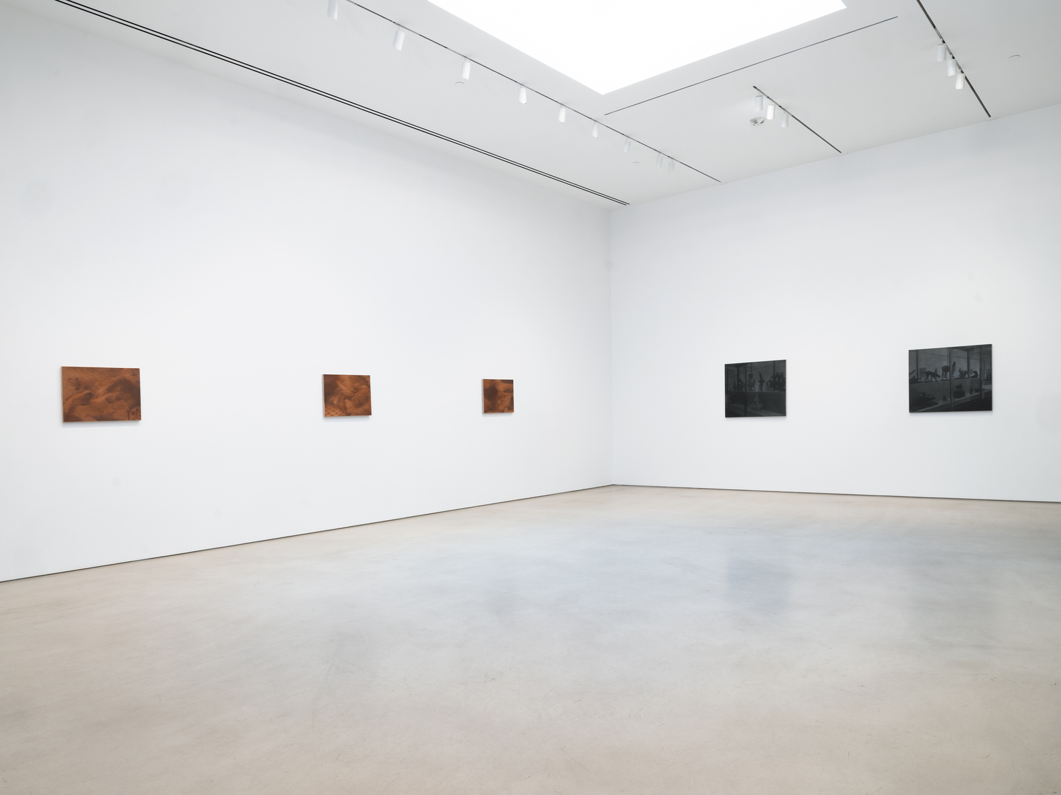 Installation view, Troy Brauntuch, Petzel, 2026.