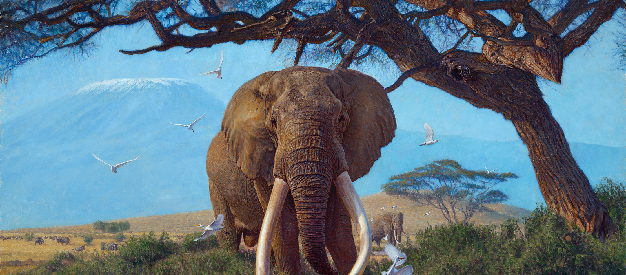 Safari Club International 2026