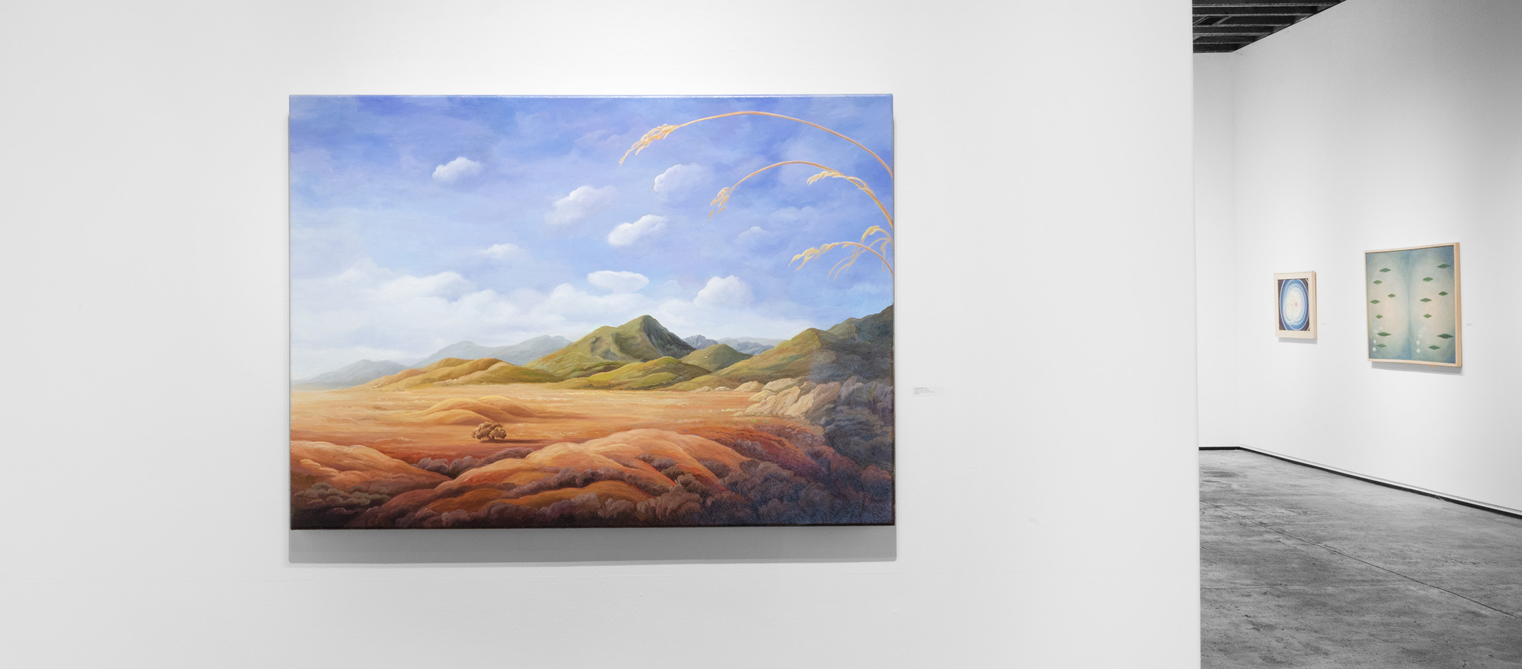 PHOEBE BRUNNER, A Radiant Solitude Installation photo 2026