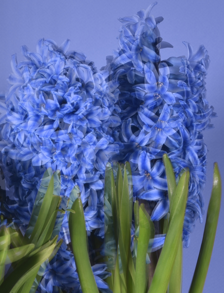 Forever: 20th Anniversary Exhibition