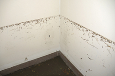 Zoe Strauss,&nbsp;Closet Waterline Post-Sandy. Toms River, NJ. December 4, 2012, Archival Inkjet Print&nbsp;