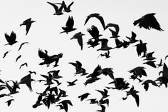 Zoe Strauss,&nbsp;Harold J. Landry Landfill_2104. Berwick, LA. September 8 2017, Archival Inkjet Print&nbsp;